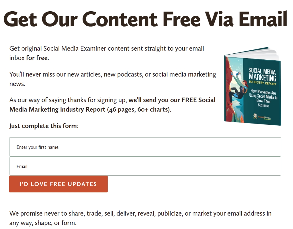 Social Media Examiner’s Newsletter Page
