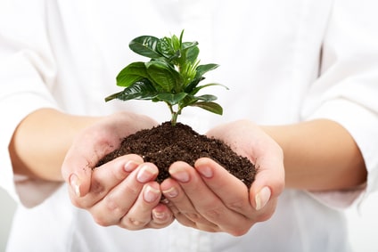 Marketer's guide to evergreen content