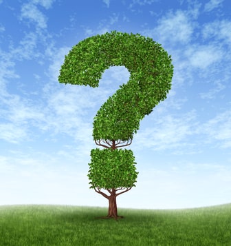 Types of evergreen content you could produce