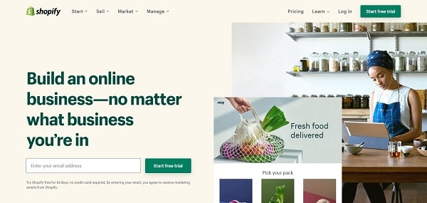 Shopify vs. WordPress: Shopify Website